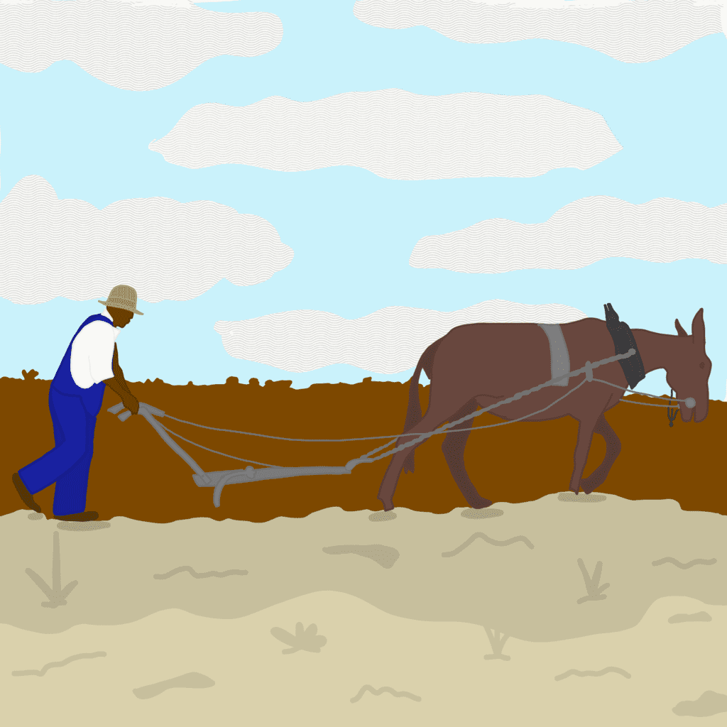 Illustration - man behind mule, farming