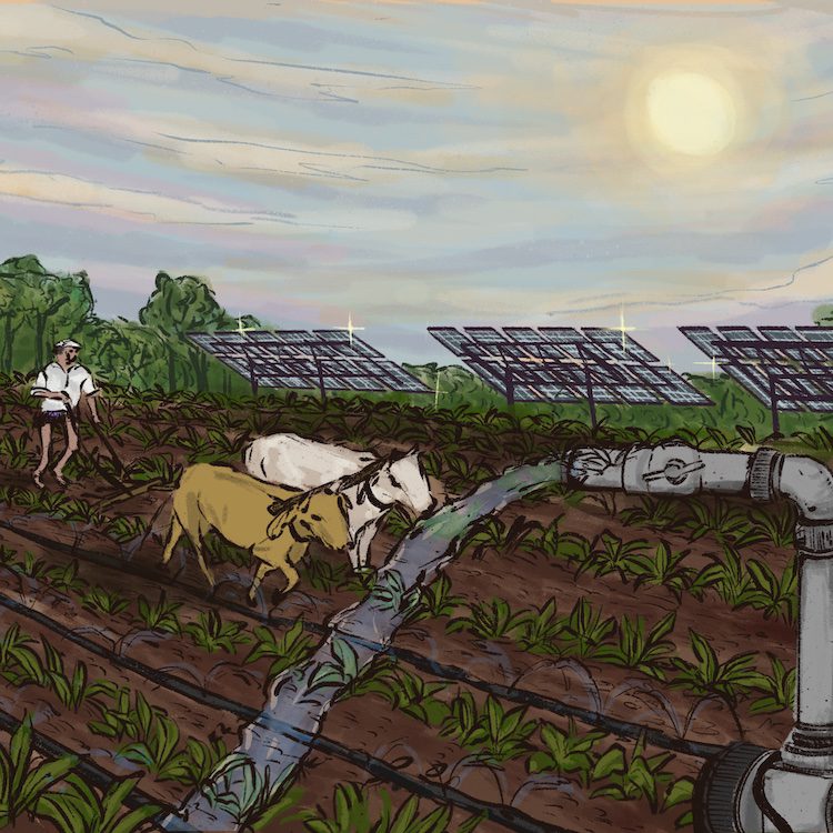 Illustration of oxen plowing fields, solar minigrids in background, pipe with water flowing